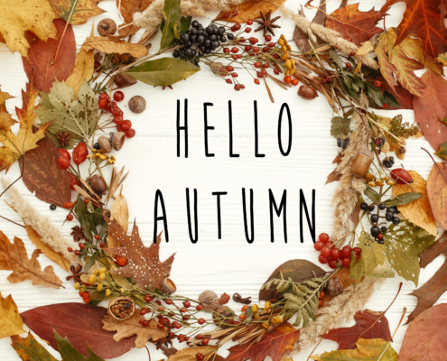 Hello Autumn text on autumn wreath flat lay. Fall leaves in circle