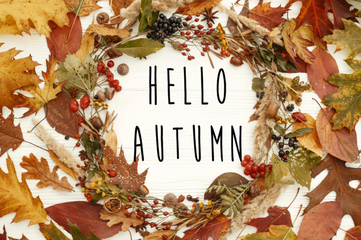 Hello Autumn text on autumn wreath flat lay. Fall leaves in circle