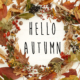 Hello Autumn text on autumn wreath flat lay. Fall leaves in circle